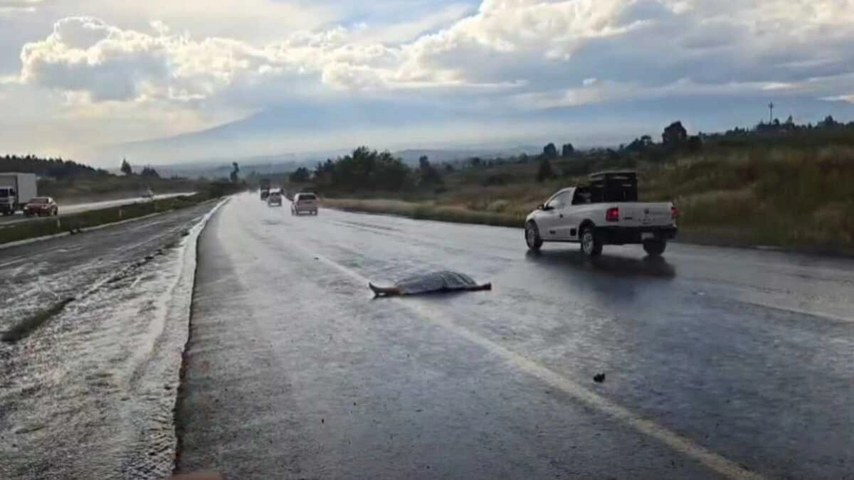 Fatal accidente en la Puebla-Atlixco deja dos muertos y un hombre prensado