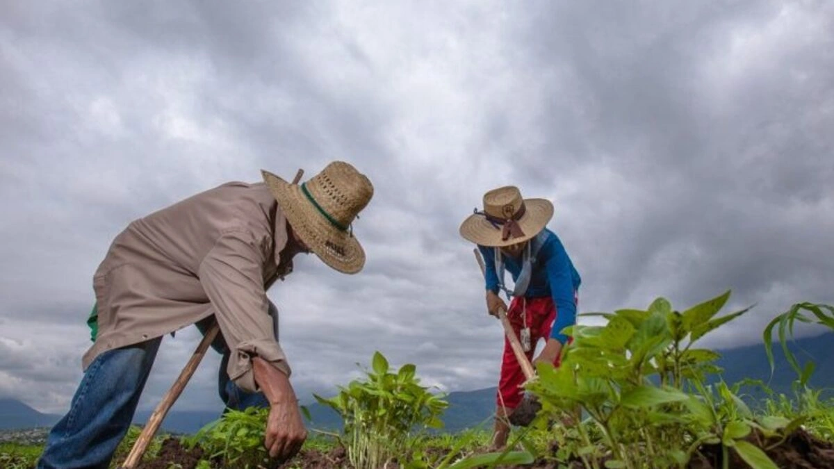 Actividad industrial en Puebla: aumenta la agricultura y cría de animales