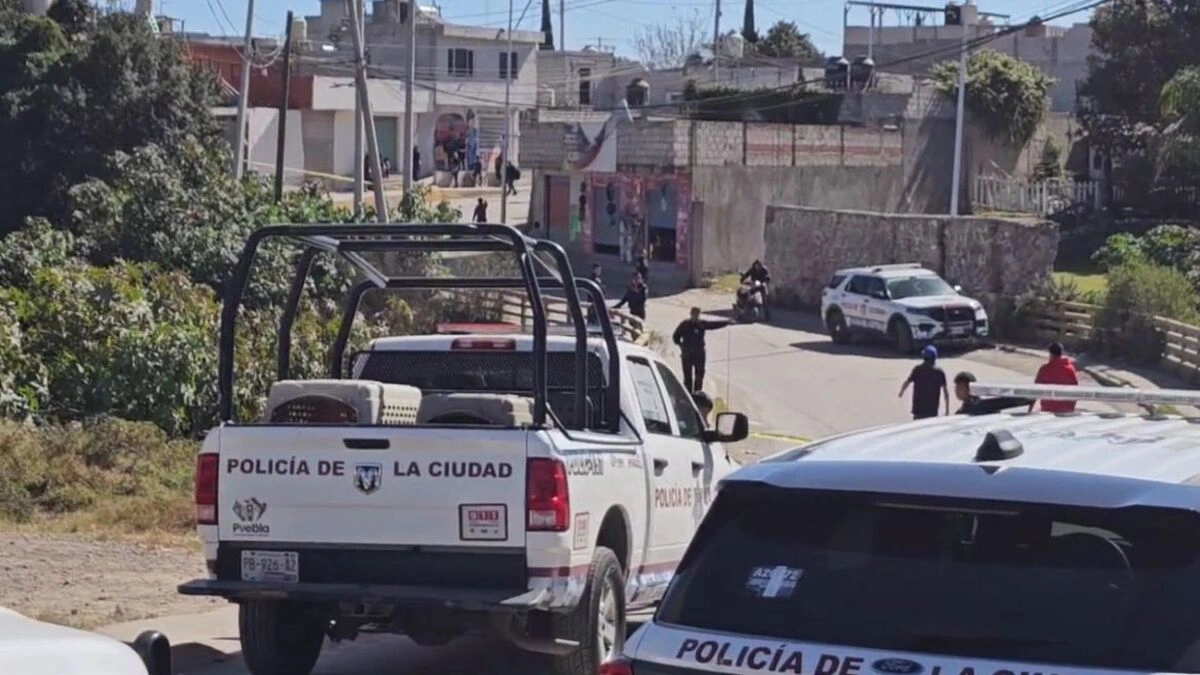 Localizan cabeza de una mujer en una barraca de La Resurrección