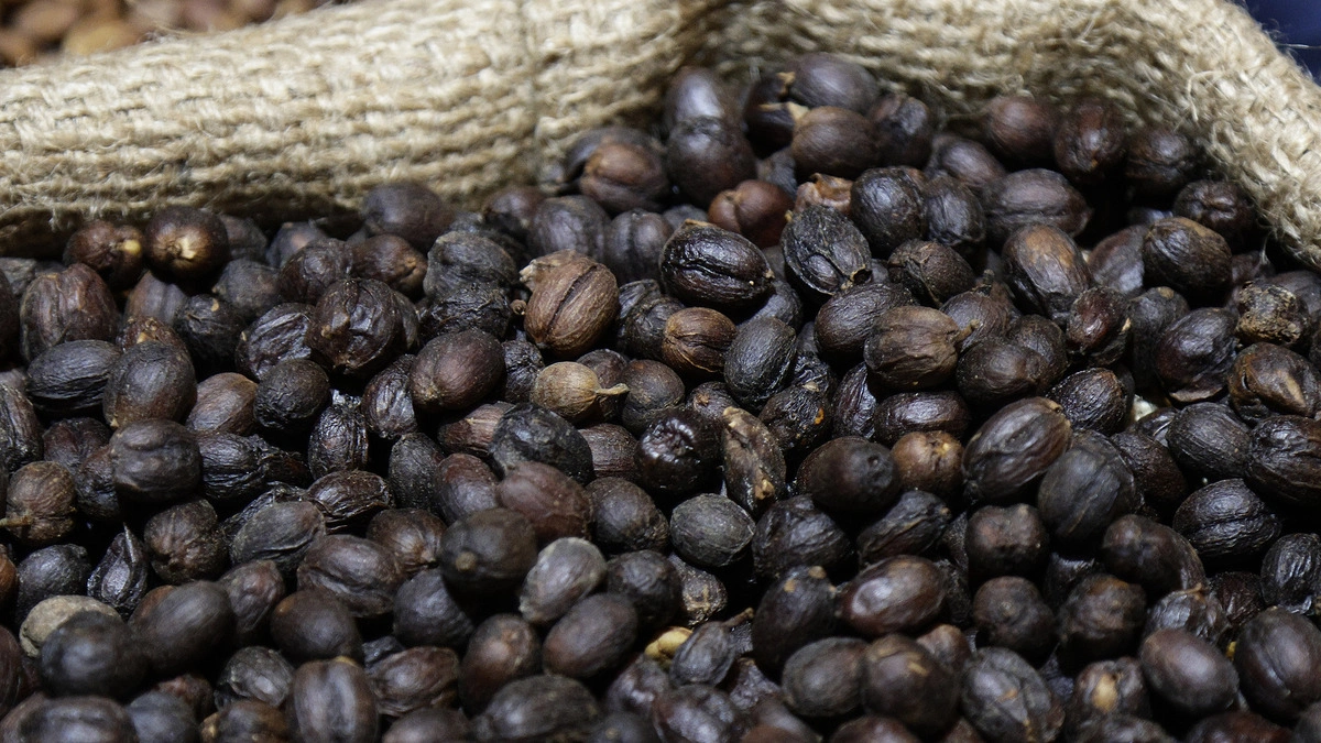 Industria del café en Puebla toma fuerza: aumentan 44% los establecimientos