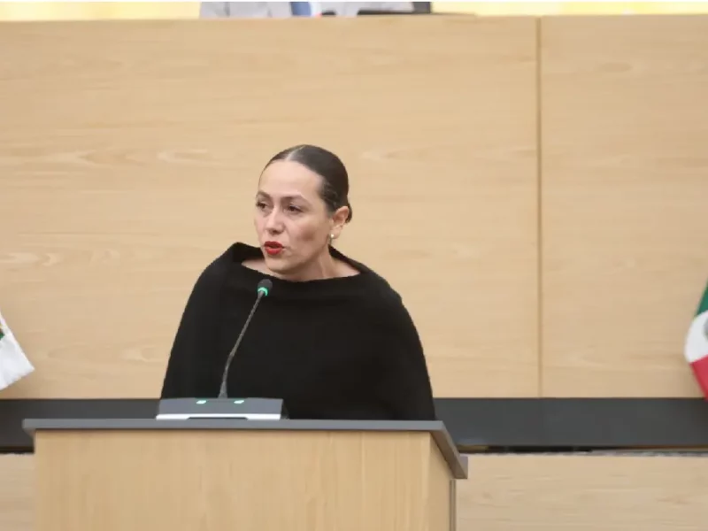 Fomento al consumo local y economía de proximidad, propuesta de la diputada Ana Laura Gómez