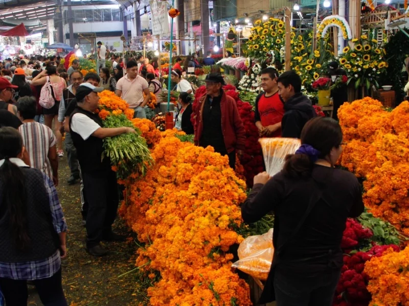 Esperan más de 60 mdp por venta de flor de cempasúchil en Puebla 