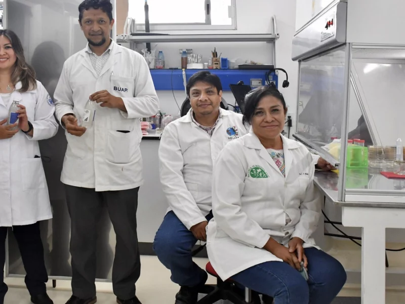 Inocrep, solución biotecnológica para una agricultura sustentable