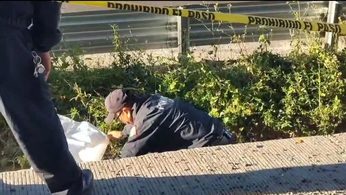 Muere motociclista tras accidentarse en la México-Puebla a la altura de San Felipe