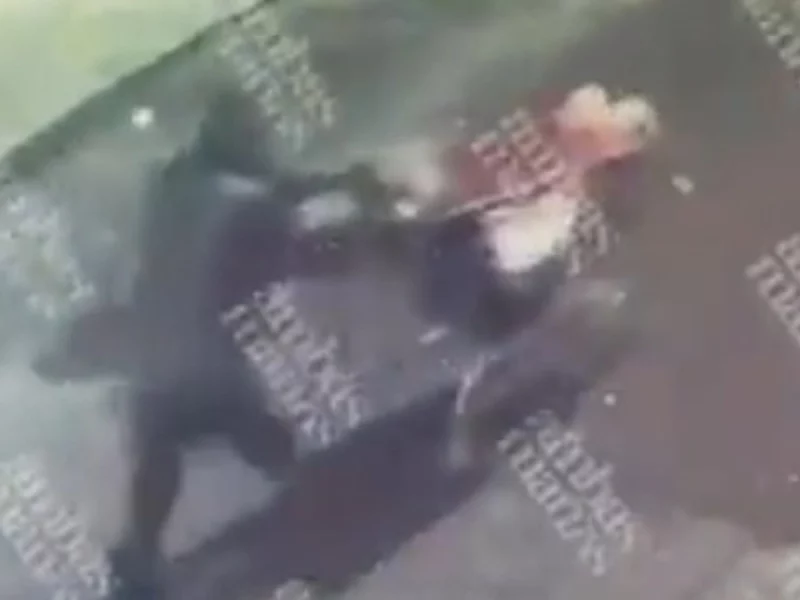 Indigente empujó carrito de supermercado sin saber que llevaba el cadáver de una mujer