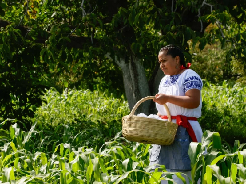 ¿Por qué se conmemora el Día Internacional de las Mujeres Rurales?  