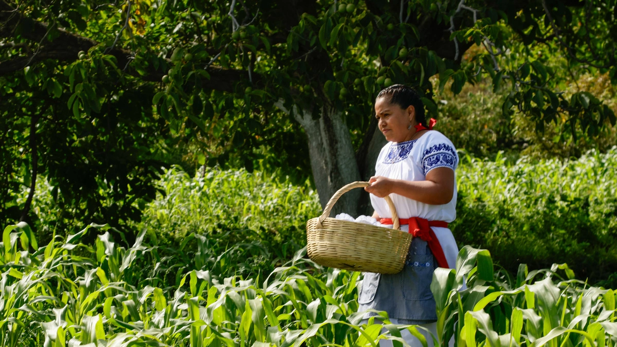 ¿Por qué se conmemora el Día Internacional de las Mujeres Rurales?  