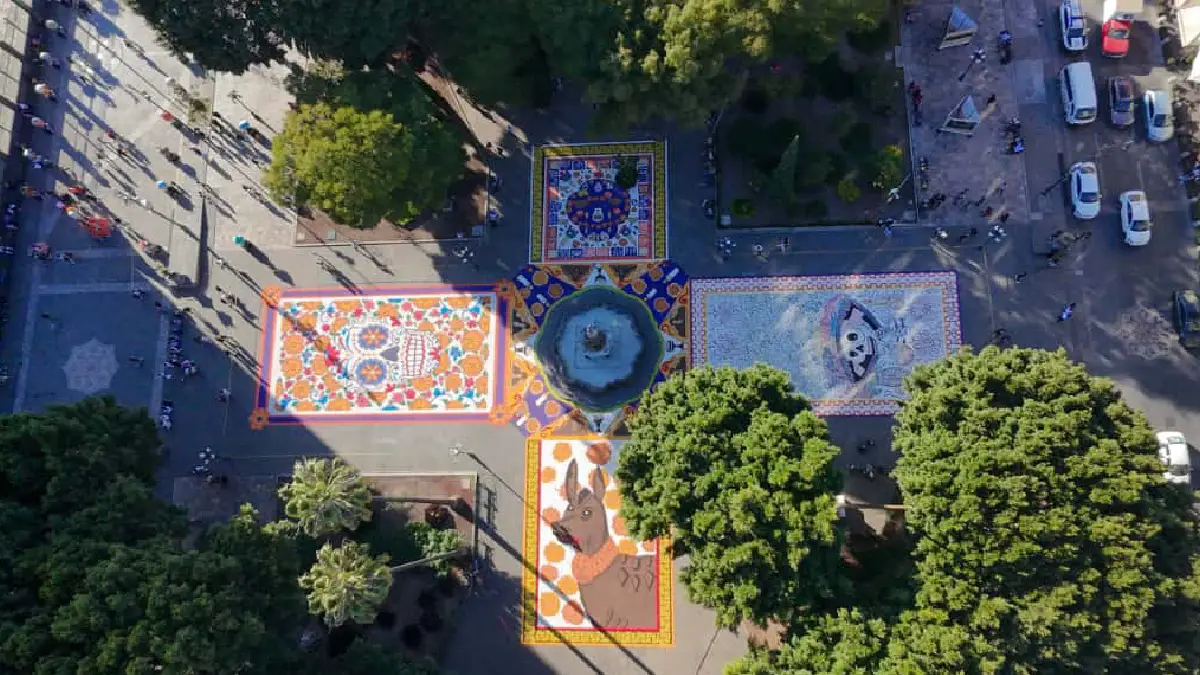 Invita Pepe Chedraui a disfrutar del tapete monumental y ofrenda del Palacio Municipal