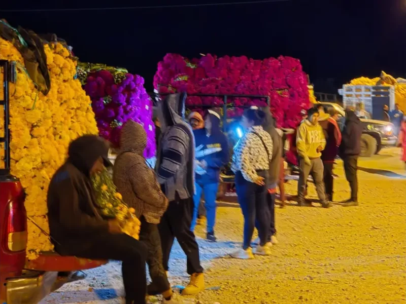 Ariadna Ayala promueve la economía local con la venta de flor de temporada en Atlixco.