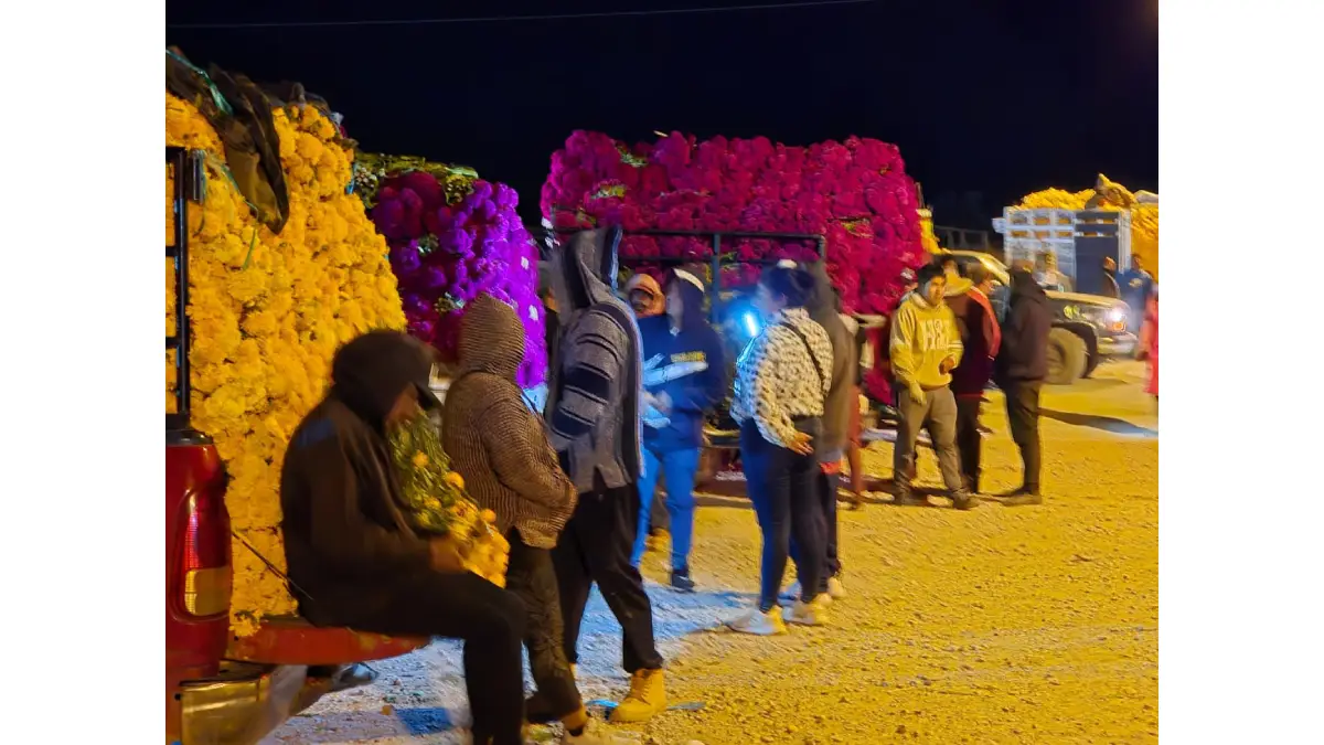 Ariadna Ayala promueve la economía local con la venta de flor de temporada en Atlixco.
