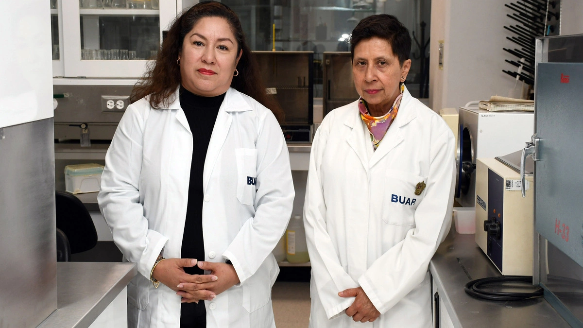 Esteroides anabólicos para tratar patologías con pérdida muscular