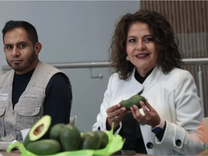 Promueven en el Congreso del Estado la Feria del Aguacate, a realizarse en Atlixco 