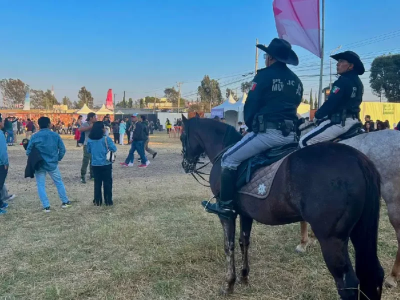Reporta San Andrés Cholula saldo blanco en Festival Tecate Comuna