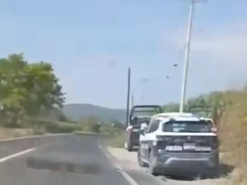 Localizan restos humanos en campos de cultivo de Tilapa