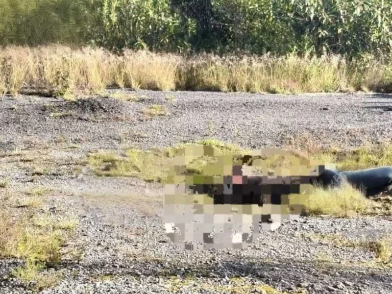 Hallan un cuerpo sobre la autopista Puebla-Orizaba en Cumbres de Maltrata 