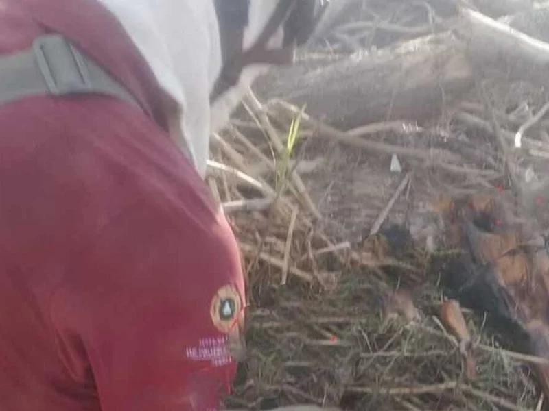 Encuentran cuerpo en descomposición en el río San Marcos en Jalpan