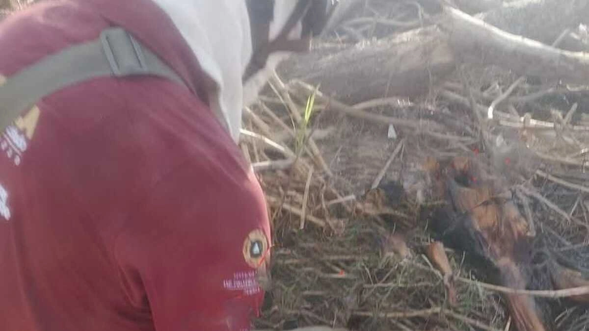 Encuentran cuerpo en descomposición en el río San Marcos en Jalpan