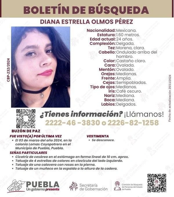 La FGE detuvo a Alejandro N., quien es expolicía estatal, por su presunta participación en la desaparición de María Fernanda N., de 31 años, y Diana Estrella N., de 24.