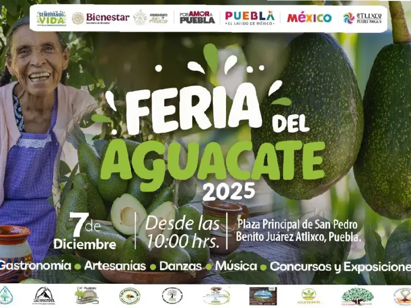 Ariadna Ayala impulsa a los productores locales con la feria del aguacate 2025