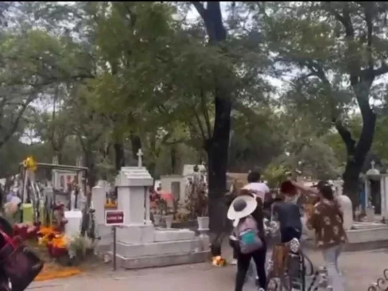VIDEO: Abejas atacan a familia en el Panteón Municipal de Puebla