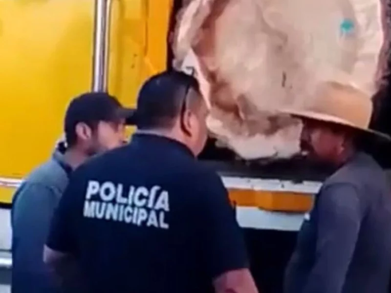 Acusan a cuatro hombres de talamontes en Calpan, pero sí tenían permiso
