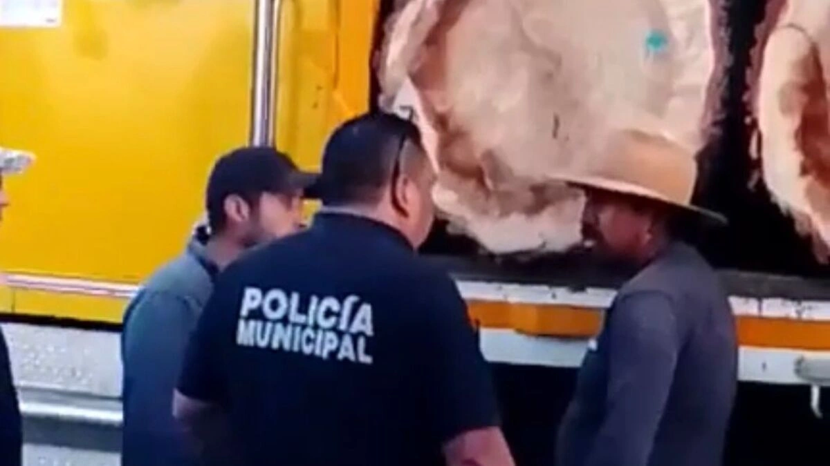 Acusan a cuatro hombres de talamontes en Calpan, pero sí tenían permiso