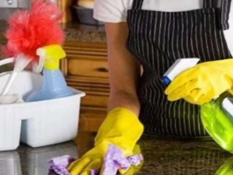 ¿Cuánto se le tendría que pagar a las mujeres por el trabajo del hogar en Puebla?