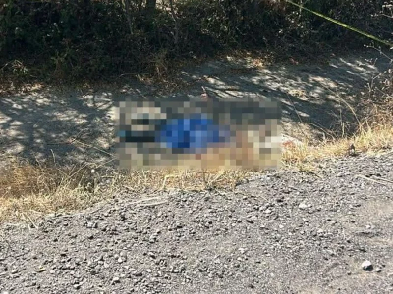 Camioneta de Barcel atropella a dos campesinos en Izúcar de Matamoros; uno murió