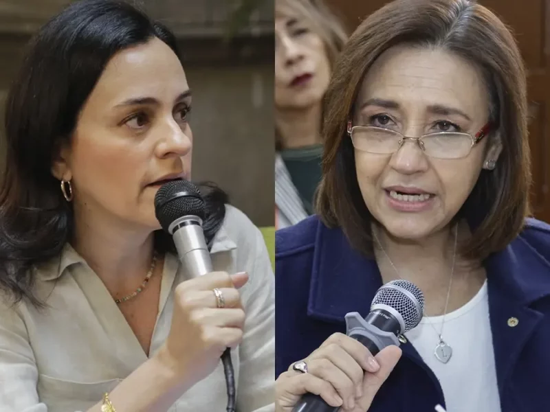 PAN dividido: Lupita Arrubarena y Mónica Rodríguez se "pelean" en redes