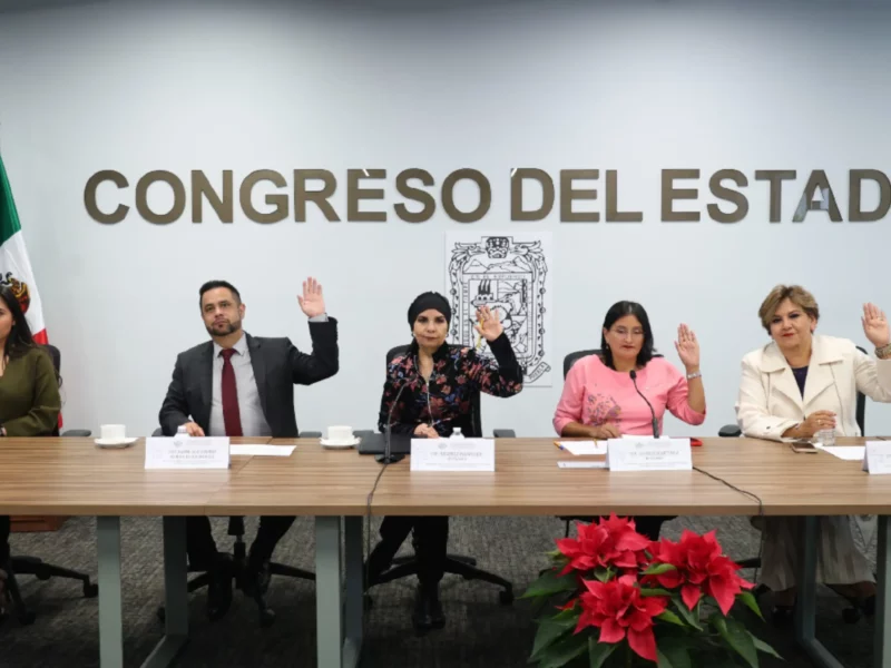 Evitar que una mascota sea regalo en temporada decembrina, exhortan en Congreso
