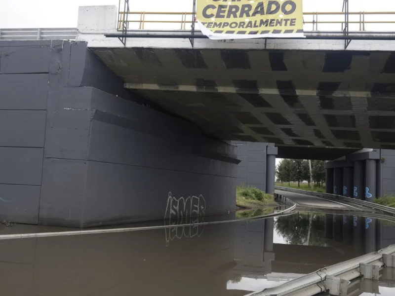Intervendrán bajo puentes del Periférico: habrá jardines temáticos de extranjeros en Puebla 