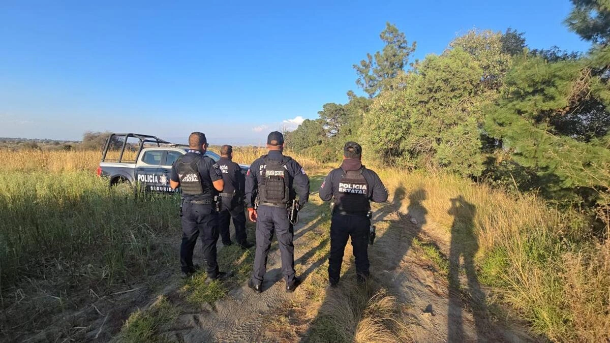 Hallan seis cadáveres con signos de violencia en Nopalucan