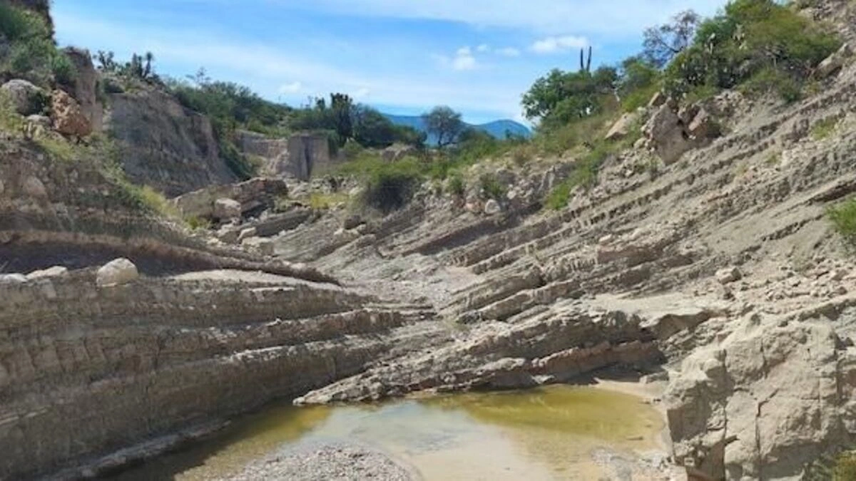 El INAH encontró huellas de dinosaurio en Tehuacán, Puebla 
