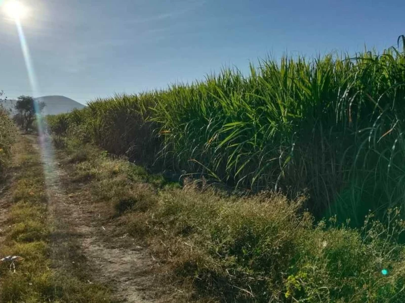 Ejecutan a albañil en calles de Atencingo, Chietla