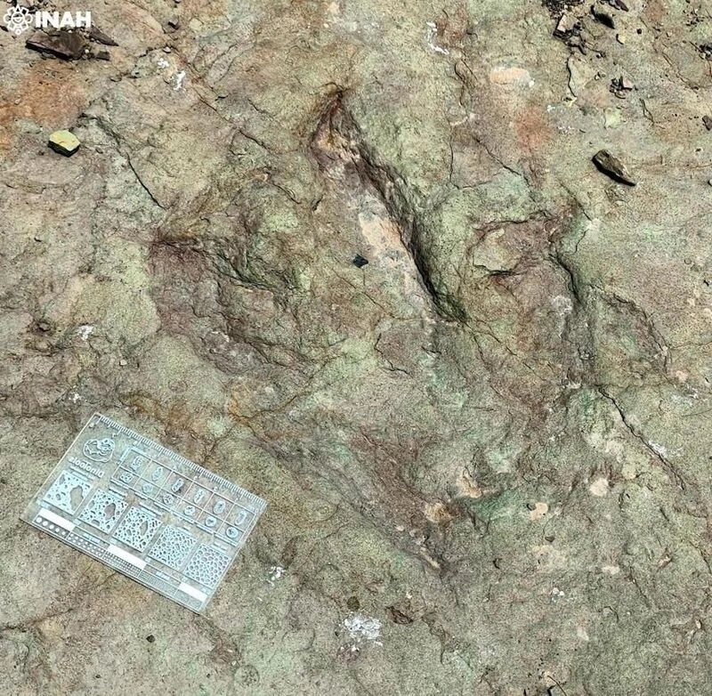 Fueron tres localidades de Tehuacán donde el INAH halló las huellas de dinosaurio. 