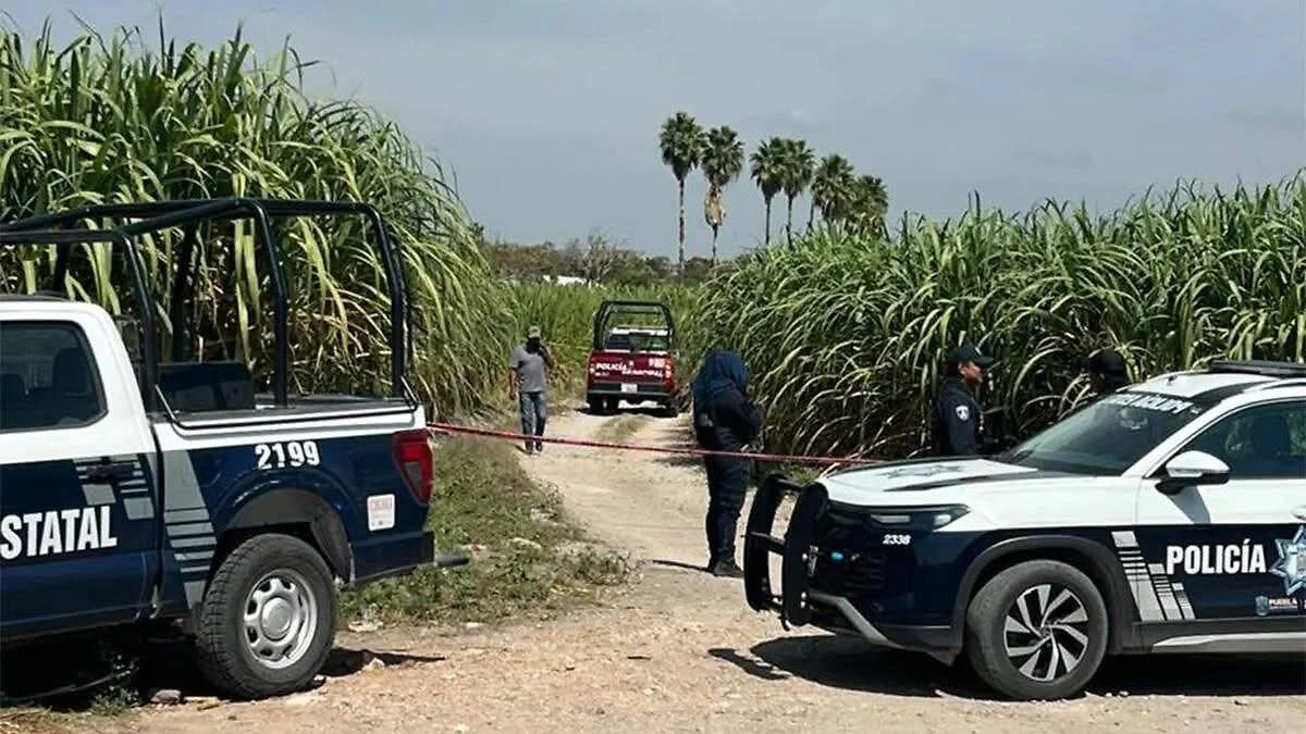 Localizan cuerpo de mujer en terrenos de cultivo en Tilapa