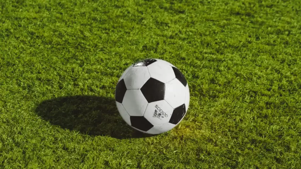 Balón de fútbol.