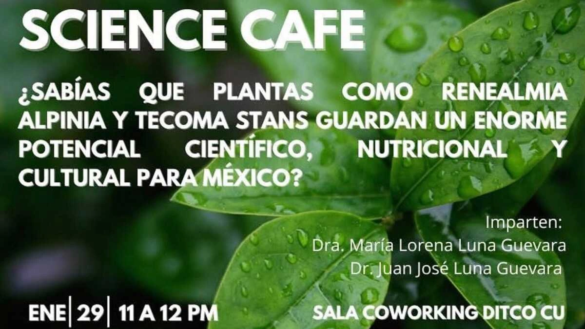 Se realizará el Café Científico el próximo jueves 29 de enero