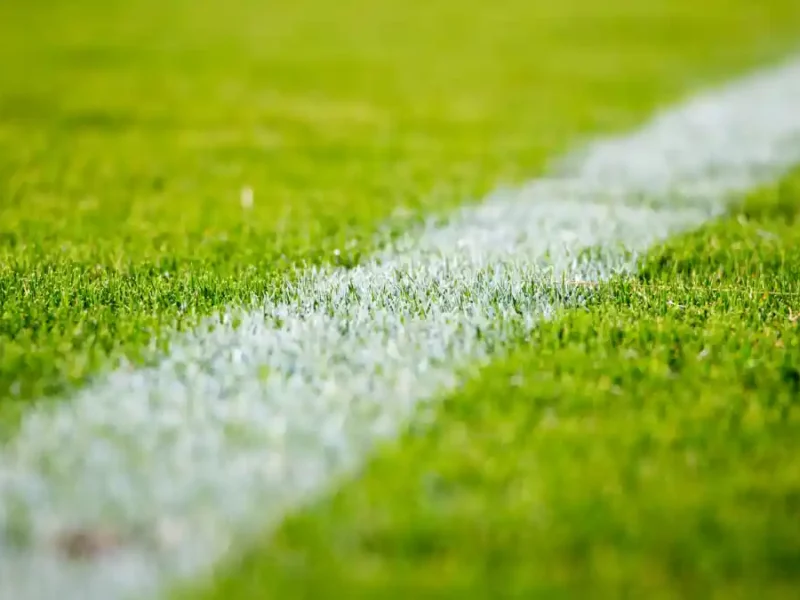 Cancha de fútbol.
