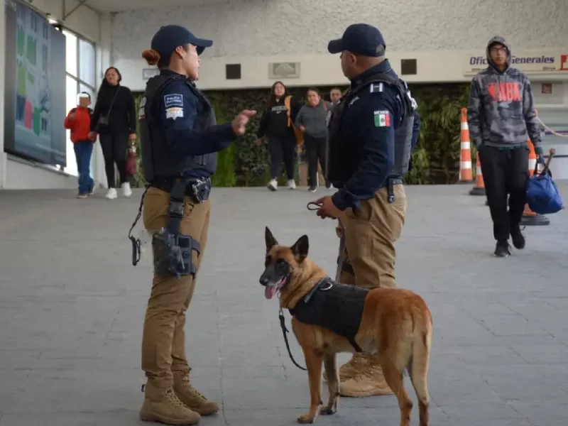 Destaca Gobierno de Pepe Chedraui intervenciones exitosas de la Unidad Canina de la SSC