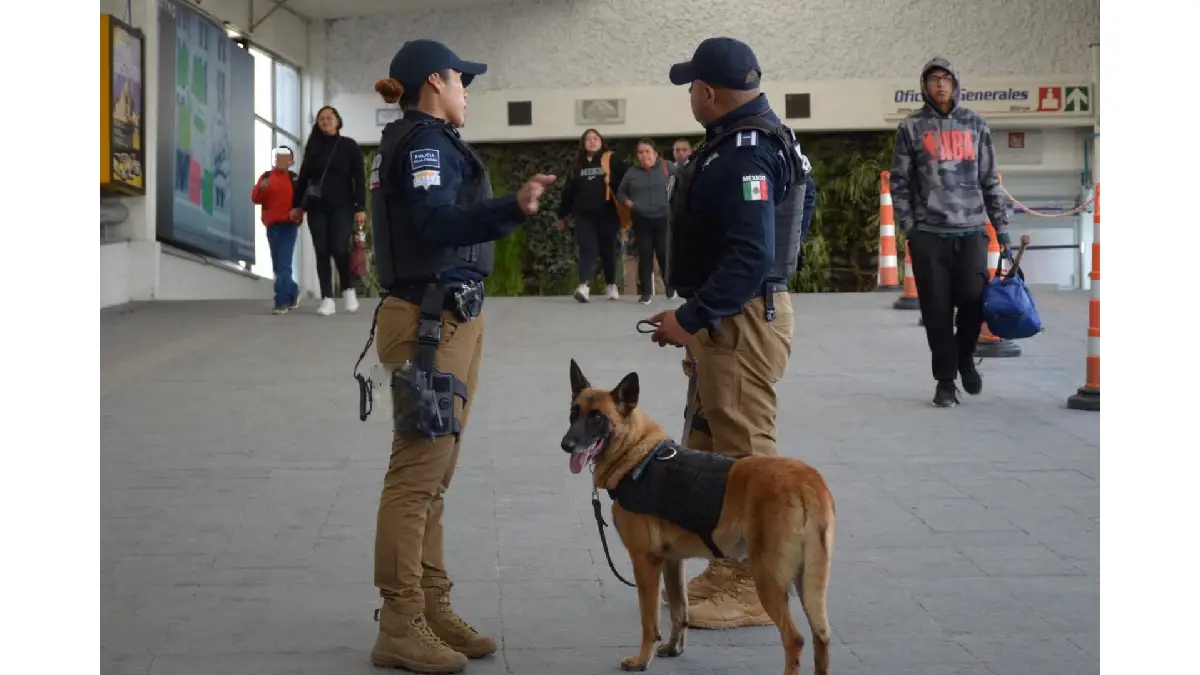 Destaca Gobierno de Pepe Chedraui intervenciones exitosas de la Unidad Canina de la SSC
