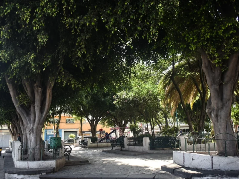Estas son las zonas con mayor consumo de drogas en Puebla capital  