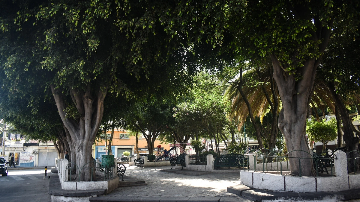 Estas son las zonas con mayor consumo de drogas en Puebla capital  