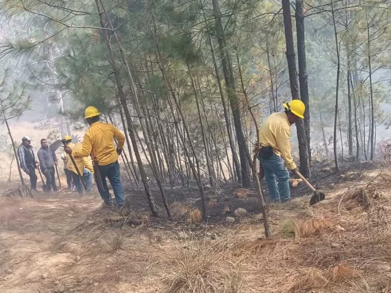 Tlachichuca, el municipio con más incendios forestales en Puebla durante 2025 