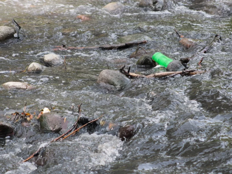 El 87% del río Atoyac está contaminado: Semarnat 