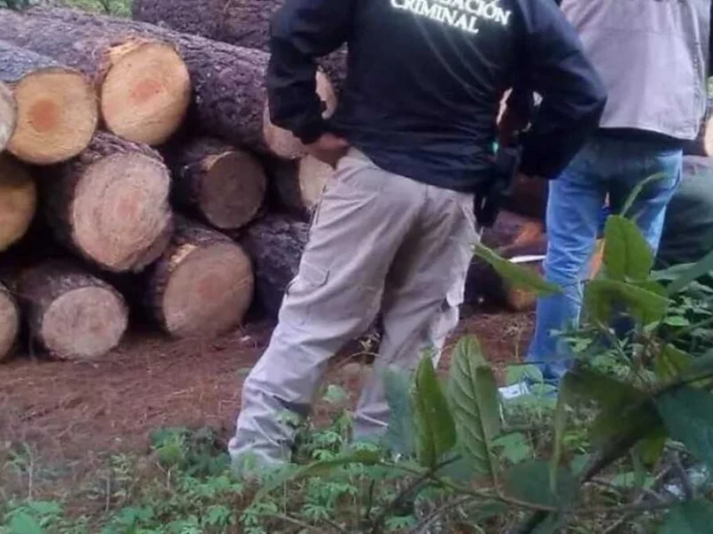 Balacera entre policías y talamontes deja dos heridos en Chilchotla  