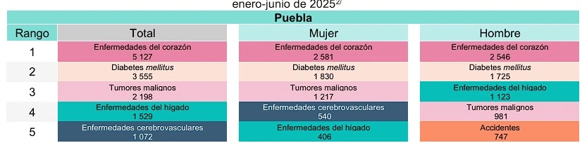 Las enfermedades del corazón encabezaron las principales causas de muerte en Puebla durante 2025.