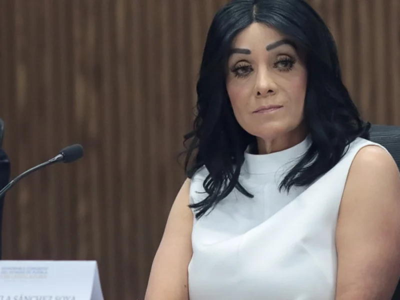 Sin aspavientos, pasa la comparecencia de la titular de la CDH ante el Congreso