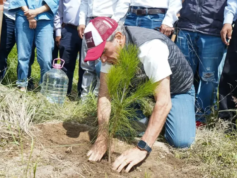 Puebla capital refuerza su compromiso ambiental: meta de plantar 100 mil árboles para 2026