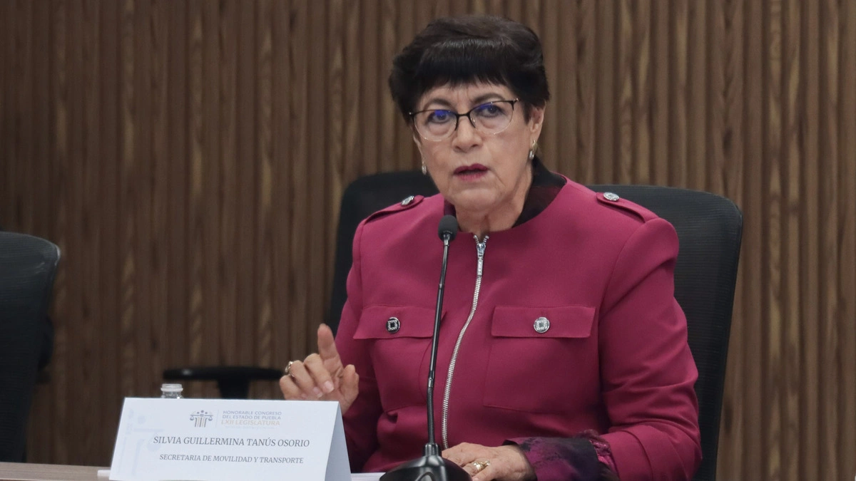 Les negamos el permiso a corralones ilegales y ahora están enojados: SMT